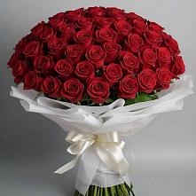 Букет 101 Красная роза Блэк Мэджик в Орудьево