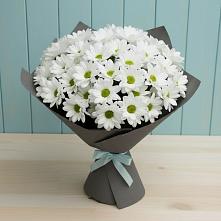 Букет цветов из:  Хризантемы #REPLACE_PRED# Орудьево