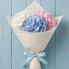 Букет цветов из:  Гортензия в Орудьево