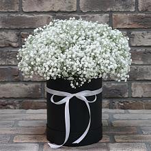 Цветочная композиция из Гипсофила в шляпной коробке в Орудьево