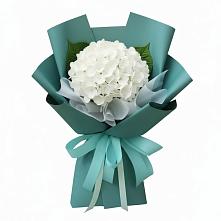 Букет цветов из:  Гортензия в Орудьево